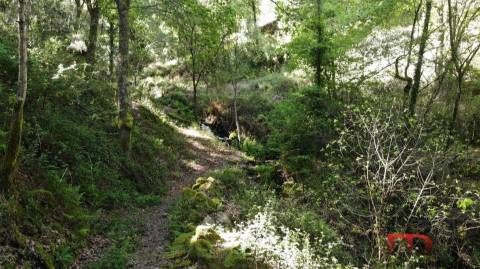 Quinta T2 Venda em Rio Douro,Cabeceiras de Basto