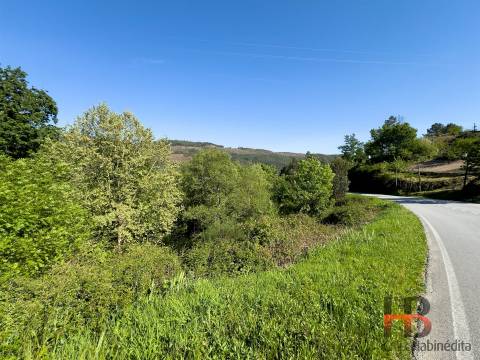 Quinta T2 Venda em Rio Douro,Cabeceiras de Basto