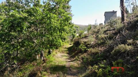 Terreno Rústico  Venda em Rio Douro,Cabeceiras de Basto