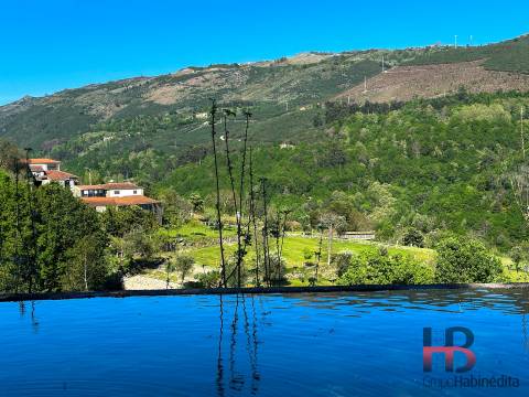Terreno Rústico  Venda em Rio Douro,Cabeceiras de Basto