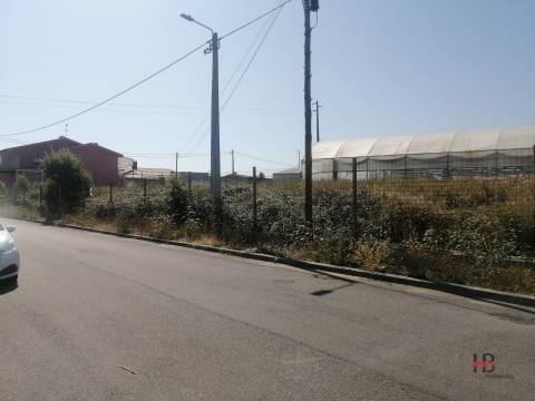 Terreno Misto  Venda em São Miguel do Souto e Mosteirô,Santa Maria da Feira