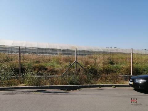 Terreno Misto  Venda em São Miguel do Souto e Mosteirô,Santa Maria da Feira