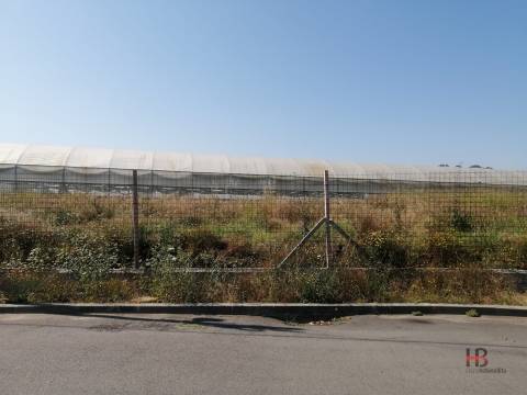 Terreno Misto  Venda em São Miguel do Souto e Mosteirô,Santa Maria da Feira