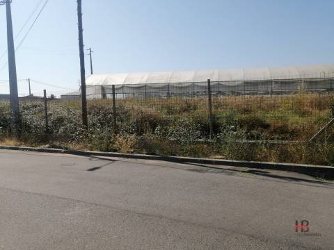 Terreno Misto  Venda em São Miguel do Souto e Mosteirô,Santa Maria da Feira