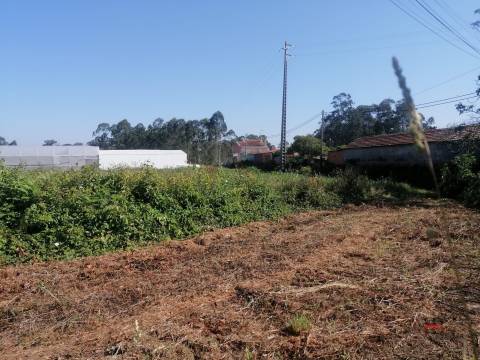 Terreno Misto  Venda em São Miguel do Souto e Mosteirô,Santa Maria da Feira