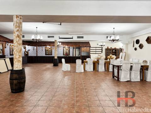 Moradia Isolada >=T10 Venda em São Miguel do Souto e Mosteirô,Santa Maria da Feira