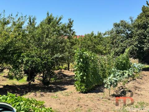 Terreno Para Construção  Venda em Rio Tinto,Gondomar