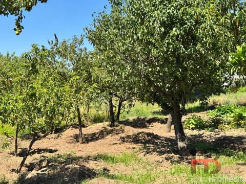 Terreno Para Construção  Venda em Rio Tinto,Gondomar