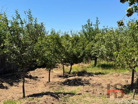 Terreno Para Construção  Venda em Rio Tinto,Gondomar