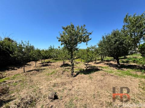 Terreno Para Construção  Venda em Rio Tinto,Gondomar