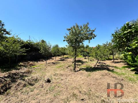 Terreno Para Construção  Venda em Rio Tinto,Gondomar