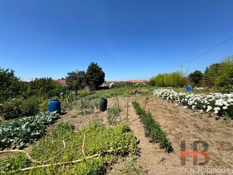 Terreno Para Construção  Venda em Rio Tinto,Gondomar
