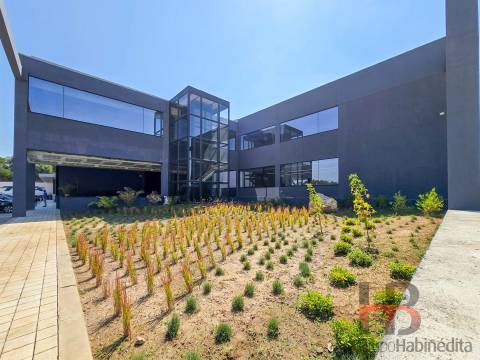 Escritório  Arrendamento em Sandim, Olival, Lever e Crestuma,Vila Nova de Gaia