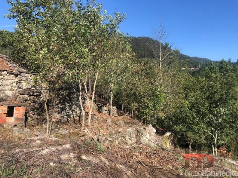 Quintinha T1 Venda em Valadares,São Pedro do Sul