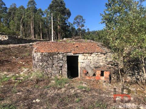 Quintinha T1 Venda em Valadares,São Pedro do Sul