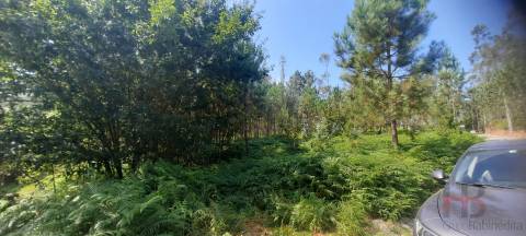 Lote de Terreno  Venda em São Miguel do Souto e Mosteirô,Santa Maria da Feira