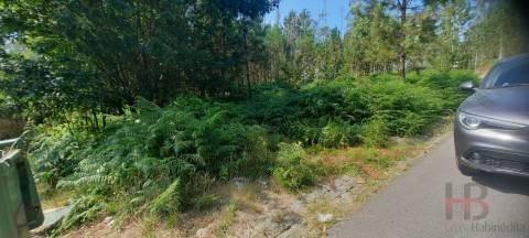Lote de Terreno  Venda em São Miguel do Souto e Mosteirô,Santa Maria da Feira