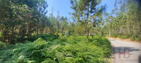 Lote de Terreno  Venda em São Miguel do Souto e Mosteirô,Santa Maria da Feira
