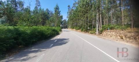 Lote de Terreno  Venda em São Miguel do Souto e Mosteirô,Santa Maria da Feira