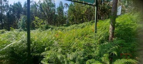 Lote de Terreno  Venda em São Miguel do Souto e Mosteirô,Santa Maria da Feira
