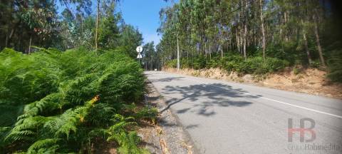 Lote de Terreno  Venda em São Miguel do Souto e Mosteirô,Santa Maria da Feira