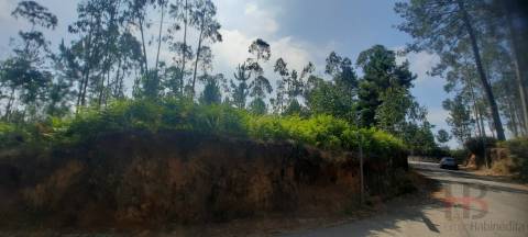 Lote de Terreno  Venda em São Miguel do Souto e Mosteirô,Santa Maria da Feira