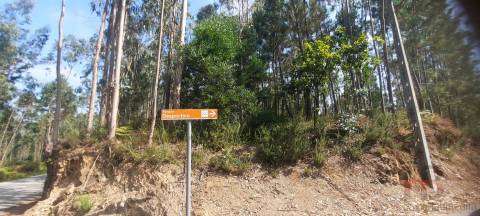 Lote de Terreno  Venda em São Miguel do Souto e Mosteirô,Santa Maria da Feira