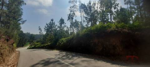 Lote de Terreno  Venda em São Miguel do Souto e Mosteirô,Santa Maria da Feira