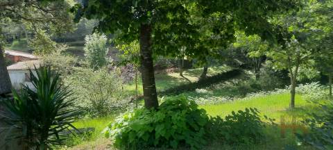 Lote de Terreno  Venda em São Miguel do Souto e Mosteirô,Santa Maria da Feira