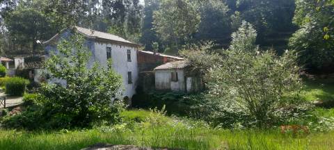 Lote de Terreno  Venda em São Miguel do Souto e Mosteirô,Santa Maria da Feira