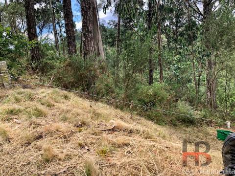 Terreno Rústico  Venda em Sobreira,Paredes