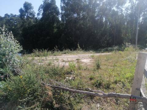 Terreno Para Construção  Venda em Santa Maria da Feira, Travanca, Sanfins e Espargo,Santa Maria da Feira