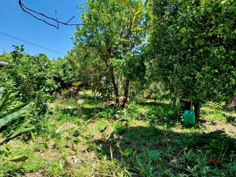 Moradia Isolada T3 Venda em São Miguel do Souto e Mosteirô,Santa Maria da Feira