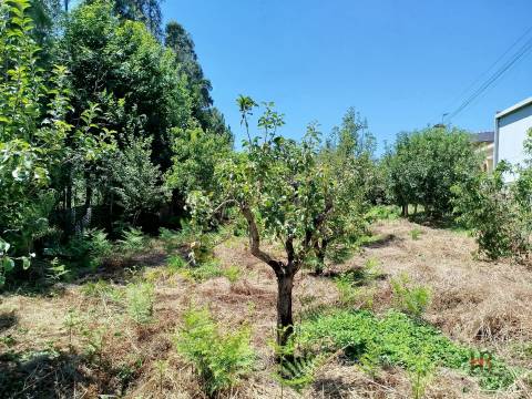 Moradia Isolada T3 Venda em São Miguel do Souto e Mosteirô,Santa Maria da Feira