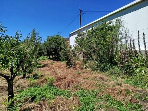 Moradia Isolada T3 Venda em São Miguel do Souto e Mosteirô,Santa Maria da Feira