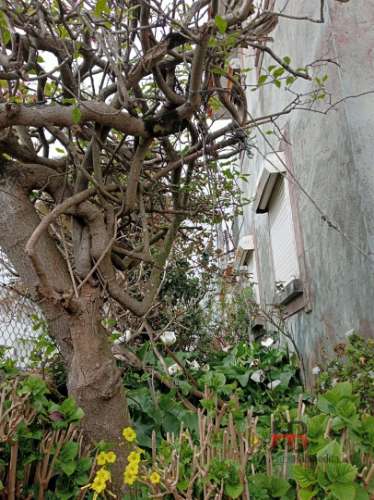 Moradia Isolada T4 Venda em Rio Meão,Santa Maria da Feira