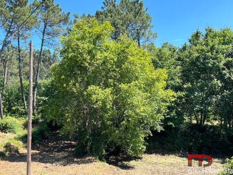 Terreno Para Construção  Venda em Arcozelo das Maias,Oliveira de Frades