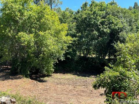 Terreno Para Construção  Venda em Arcozelo das Maias,Oliveira de Frades
