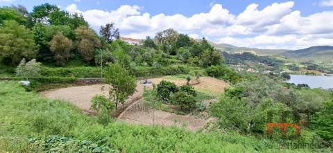 Terreno Urbano  Venda em Oliveira de Frades, Souto de Lafões e Sejães,Oliveira de Frades