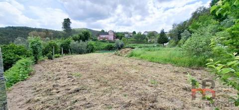Terreno Urbano  Venda em Oliveira de Frades, Souto de Lafões e Sejães,Oliveira de Frades
