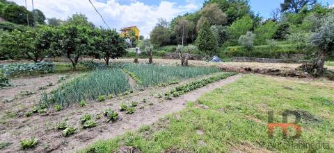 Terreno Urbano  Venda em Oliveira de Frades, Souto de Lafões e Sejães,Oliveira de Frades