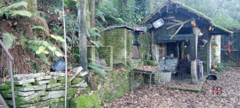 Quintinha T0 Venda em Pinheiro da Bemposta, Travanca e Palmaz,Oliveira de Azeméis