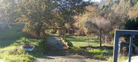 Quintinha T0 Venda em Pinheiro da Bemposta, Travanca e Palmaz,Oliveira de Azeméis