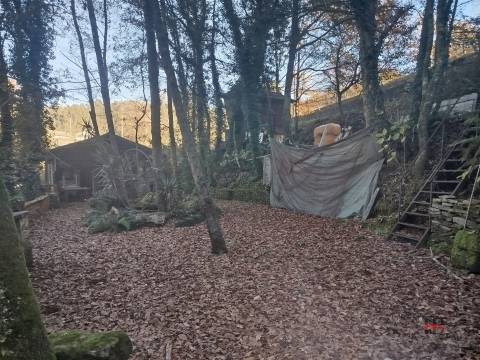 Quintinha T0 Venda em Pinheiro da Bemposta, Travanca e Palmaz,Oliveira de Azeméis