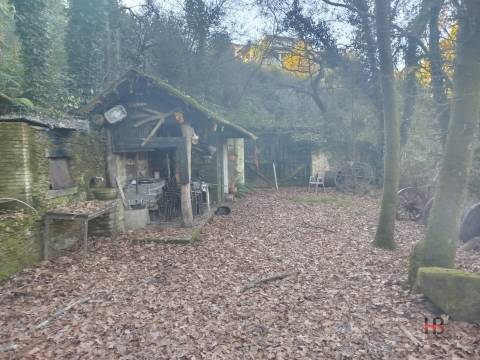 Quintinha T0 Venda em Pinheiro da Bemposta, Travanca e Palmaz,Oliveira de Azeméis