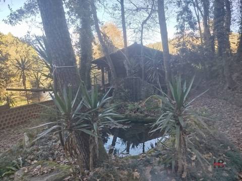 Quintinha T0 Venda em Pinheiro da Bemposta, Travanca e Palmaz,Oliveira de Azeméis