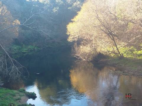 Quintinha T0 Venda em Pinheiro da Bemposta, Travanca e Palmaz,Oliveira de Azeméis