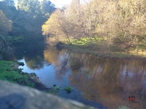 Quintinha T0 Venda em Pinheiro da Bemposta, Travanca e Palmaz,Oliveira de Azeméis