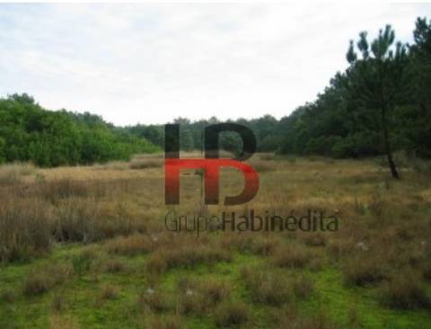 Lote de Terreno  Venda em Torreira,Murtosa