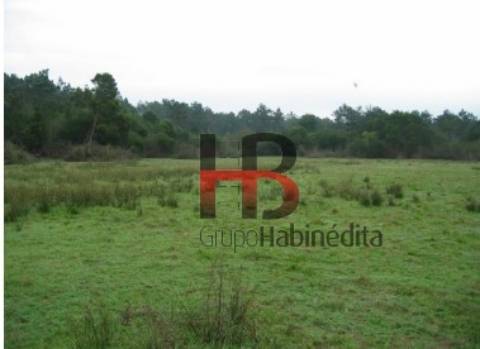 Lote de Terreno  Venda em Torreira,Murtosa